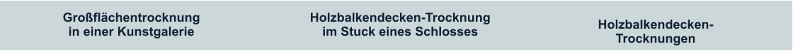 Großflächentrocknung in einer Kunstgalerie Holzbalkendecken-Trocknung im Stuck eines Schlosses Holzbalkendecken-Trocknungen 